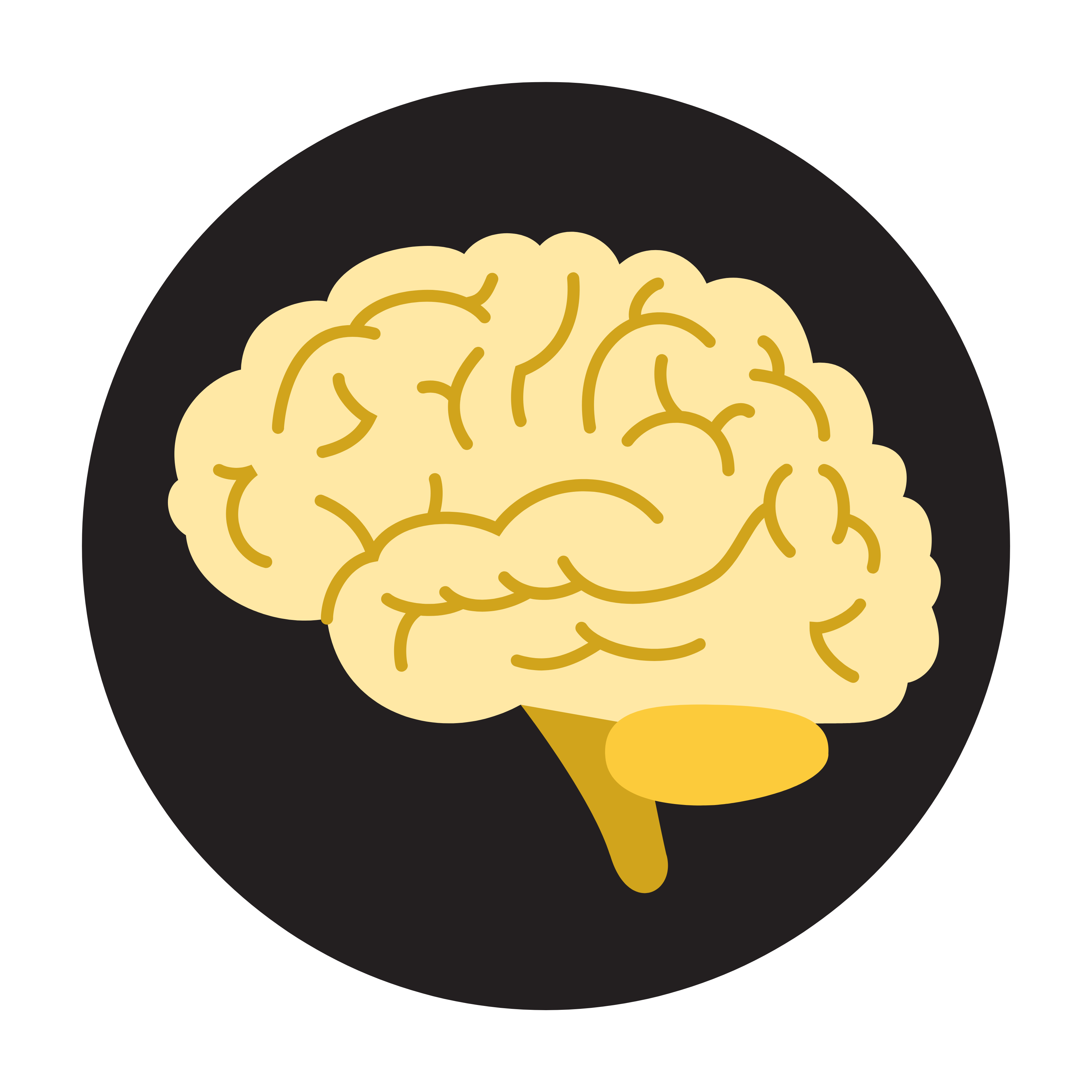 Icon 1